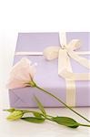 Gift with white flower