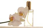 Small perfume bottle and orchid blossoms