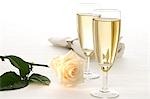 Two glasses of sparkling wine and a white rose