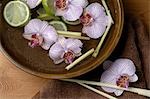 Schale mit Orchidee blüht und Limetten