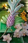 Arrangement of bromelias,bananas and orchid blossoms