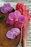 Orchid blossoms in a wooden bowl