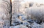 Bach im Winter, Stora Skedvi, Dalarna, Schweden