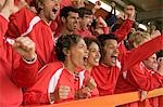 Fans celebrating at football match