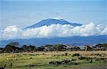 KENYA AFRICA AMBOSELI NP MOUNT KILIMANJARO WITH GAME HERDS