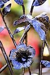 GROS PLAN DE JARDIN DE FER PORTE DES FLEURS SAVANNAH, GA