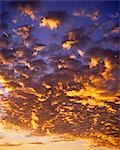 CLOUDS WITH GOLDEN SUN GLOW IN BLUE SKY