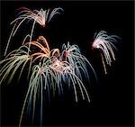 FESTIVE FIREWORKS DISPLAY IN NIGHT SKY