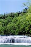 RICHLAND CREEK ET RICHLAND FALLS RICHLAND CREEK WILDERNESS, OZARK NATIONAL FOREST, LE COMTÉ DE NEWTON, ARKANSAS