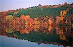 POCONO MOUNTAIN BEREICH PENNSYLVANIA HERBST