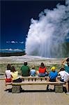 YELLOWSTONE NP WY ALTE TREUE GEYSIR