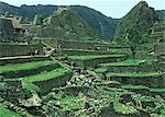 PERU MACHU PICCHU INCAS ARCHEOLOGICAL SITE WITH STEPPED TERRACES