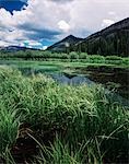 BEAVER POND ALONG UPPER RIO GRANDE RIVER RIO GRANDE NATIONAL FOREST, COLORADO