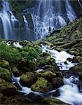 BAS PROXY FALLS WILLAMETTE NATIONAL FOREST NORD-EST LANE COUNTY, OREGON