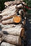 Close-up of Woodpile