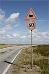 Trafic signe, l'île de Sylt, Schleswig-Holstein, Allemagne