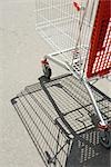 Shopping cart outdoors