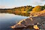 Clatteringshaws Loch, Galloway Forest Park, Dumfries and Galloway, Scotland