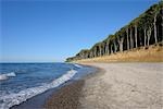 Plage, Bollhagen, Bad Doberan, Poméranie occidentale, Mecklembourg-Poméranie occidentale, Allemagne