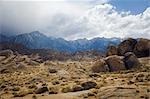 Alabama Hills Recreation Area, einsame Pinie, Inyo County, Kalifornien, USA