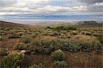 Vallée de l'Owens, Iono County, Californie, Etats-Unis