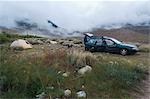 Setting Up Camp, Inyo National Forest, Bishop, Inyo County, California, USA