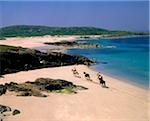 High angle view of four people horseback riding on the beach, Mannin Bay, Connemara, County Galway, Republic Of Ireland