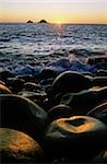 Rocks at the coast, Giant's Causeway, County Antrim, Northern Ireland