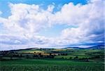 Irlande ; Vue panoramique sur la campagne