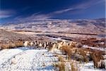 Moutons dans la neige Glenshane, Derry, Irlande