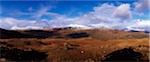 Moorland near Kenmare, Co Kerry, Ireland