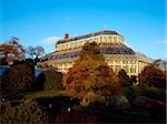 Great Palm House, National Botanic Gardens, Dublin, Ireland