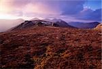 Slieve Binnian, montagnes de Mourne, comté de Down, Irlande ; Termes de référence sur le sommet de la montagne