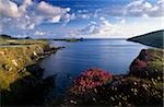 Foihomurrin Bay, Valentia Island, County Kerry, Ireland