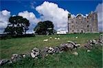 Leamaneagh Schloss, Burren, County Clare, Irland; Historischen Irish castle