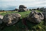 Carrowmore, Co Sligo, Ireland;  Dolmen within a stone circle at a prehistoric ritual landscape