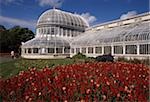 Belfast Botanic Gardens, Belfast, Co. Antrim, Irland; Botanische Gärten außerhalb Palmenhaus