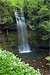 Glencar Waterfall, Co Sligo, Irlande ; W.B. Yeats a rendu cette cascade célèbre dans son poème « The Stolen Child »