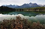 Herbert Lake, Banff National Park, Alberta, Canada