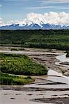 Monts Wrangell et la rivière Copper, Alaska, USA