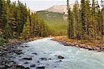 La rivière Sunwapta, Parc National Jasper, Alberta, Canada