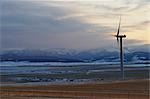 Éolienne, près de Pincher Creek, Alberta, Canada