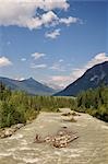 Swiftcurrent Creek et la chaîne Columbia, Parc Provincial du Mont Robson, en Colombie-Britannique, Canada