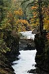 Stamp Falls, Stamp Falls Provincial Park, Vancouver Island, British Columbia, Kanada