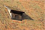 Dormer Window, Roof, Germany