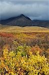 Clearwater Mountains, Alaska, USA