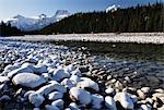 La rivière Athabasca, Parc National Jasper, Alberta, Canada