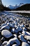 Athabasca River, Jasper Nationalpark, Alberta, Kanada