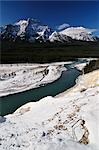 Vallée de l'Athabasca depuis le belvédère de la chèvre, le Parc National Jasper, Alberta, Canada