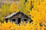 Silver City ville fantôme, territoire du Yukon, Canada